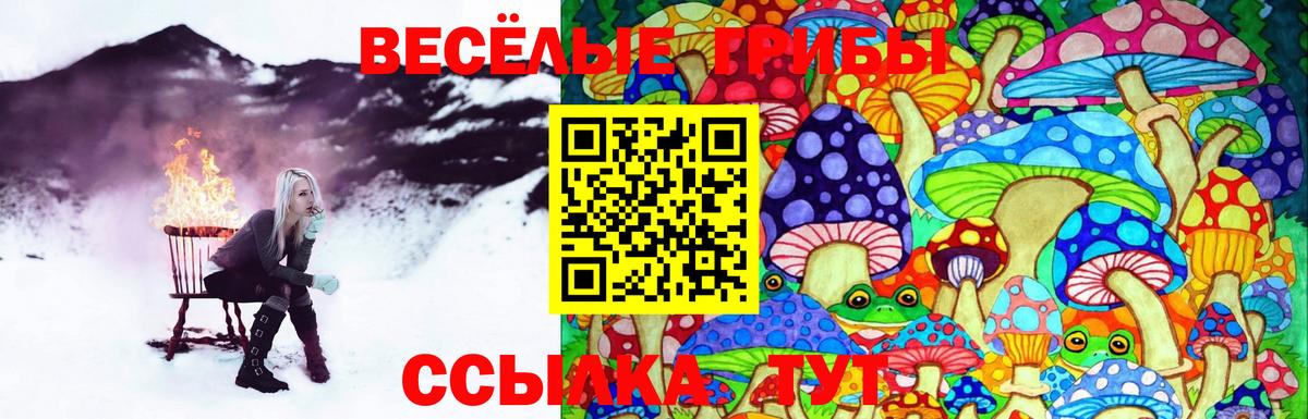 Стрежевой  Псилоцибиновые грибы мицелий  Вход с VPN 
